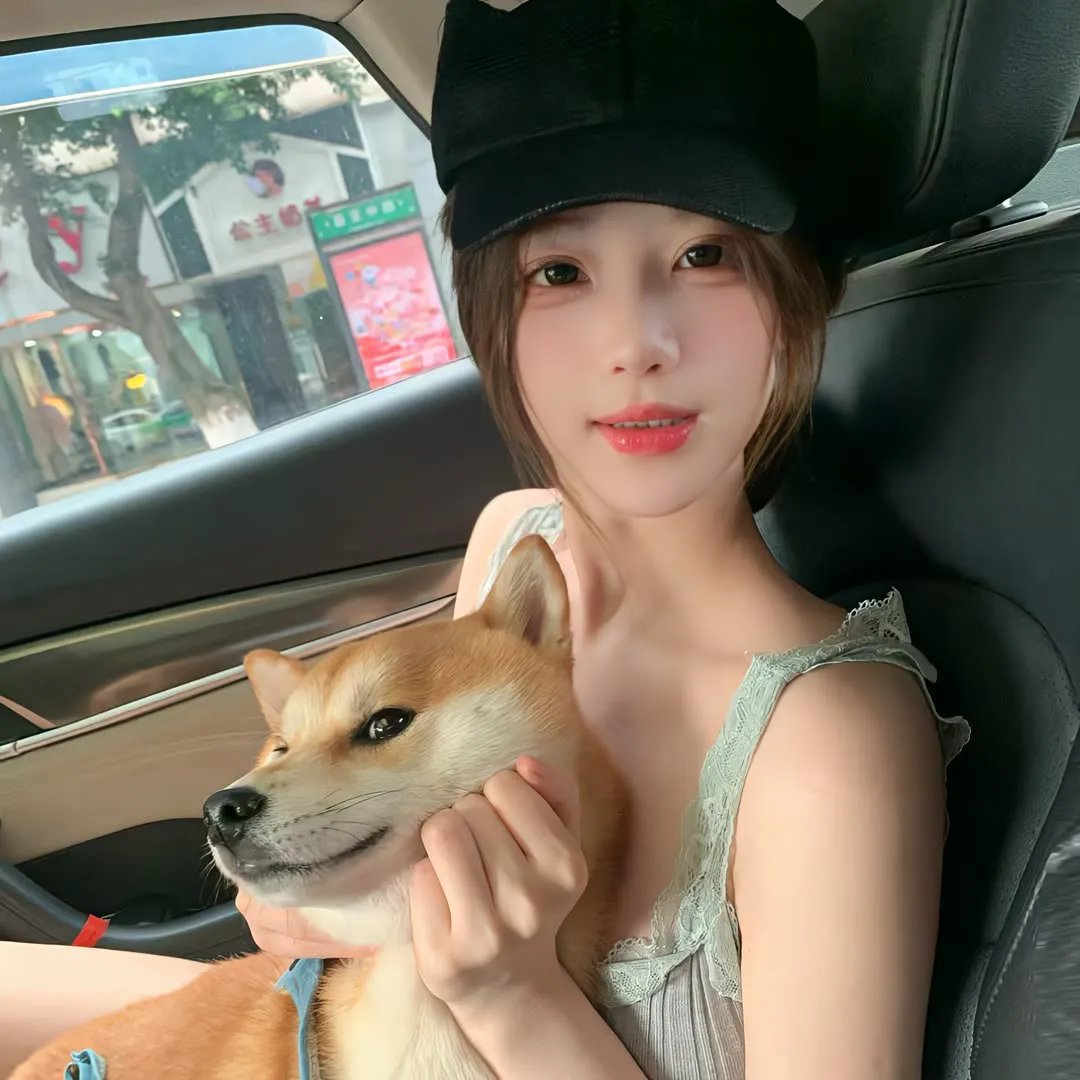 驯龙宝典